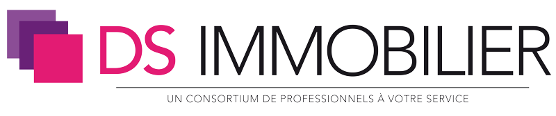 DS Immobilier