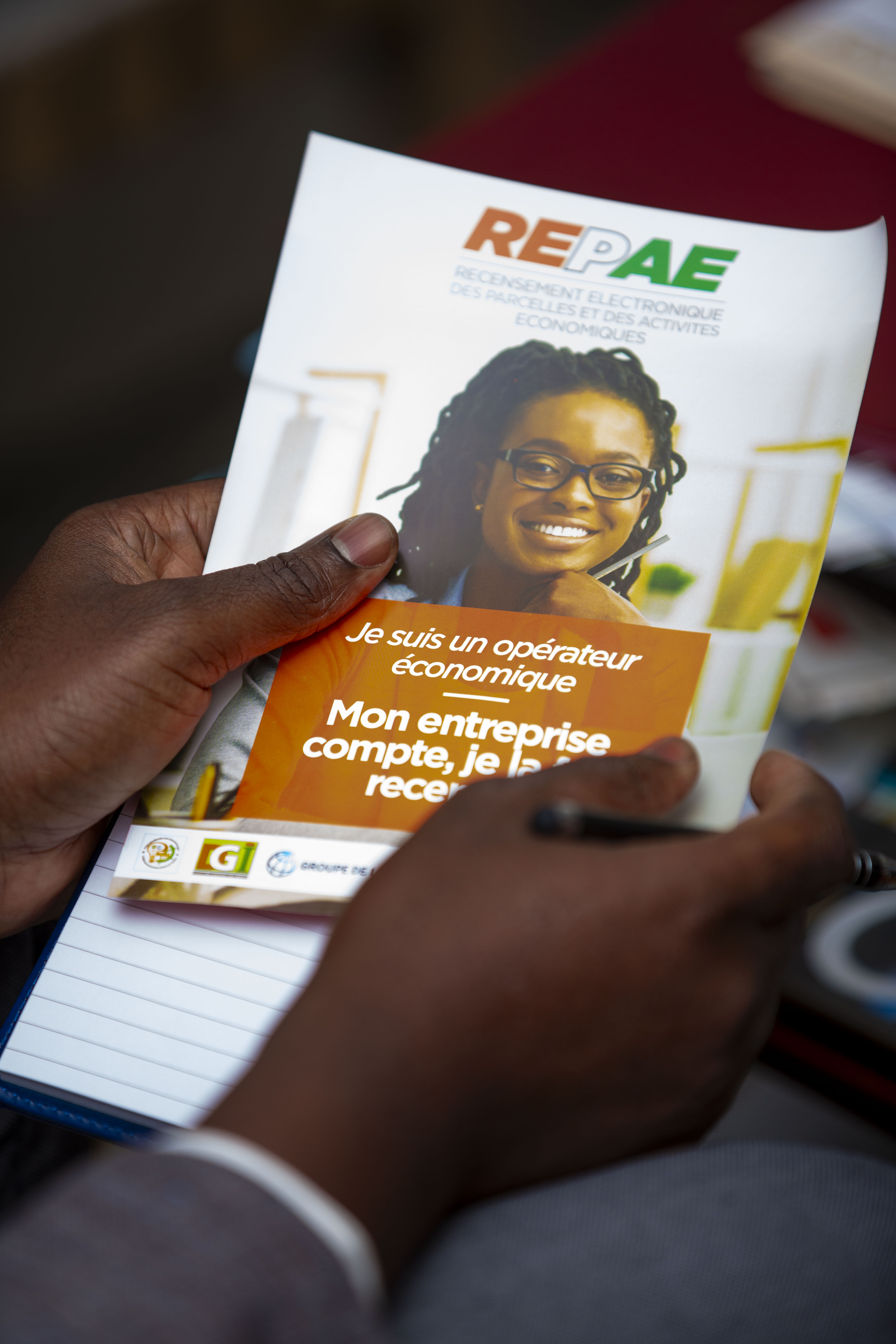 REPAE — Recensement  Electronique des Activités Economiques